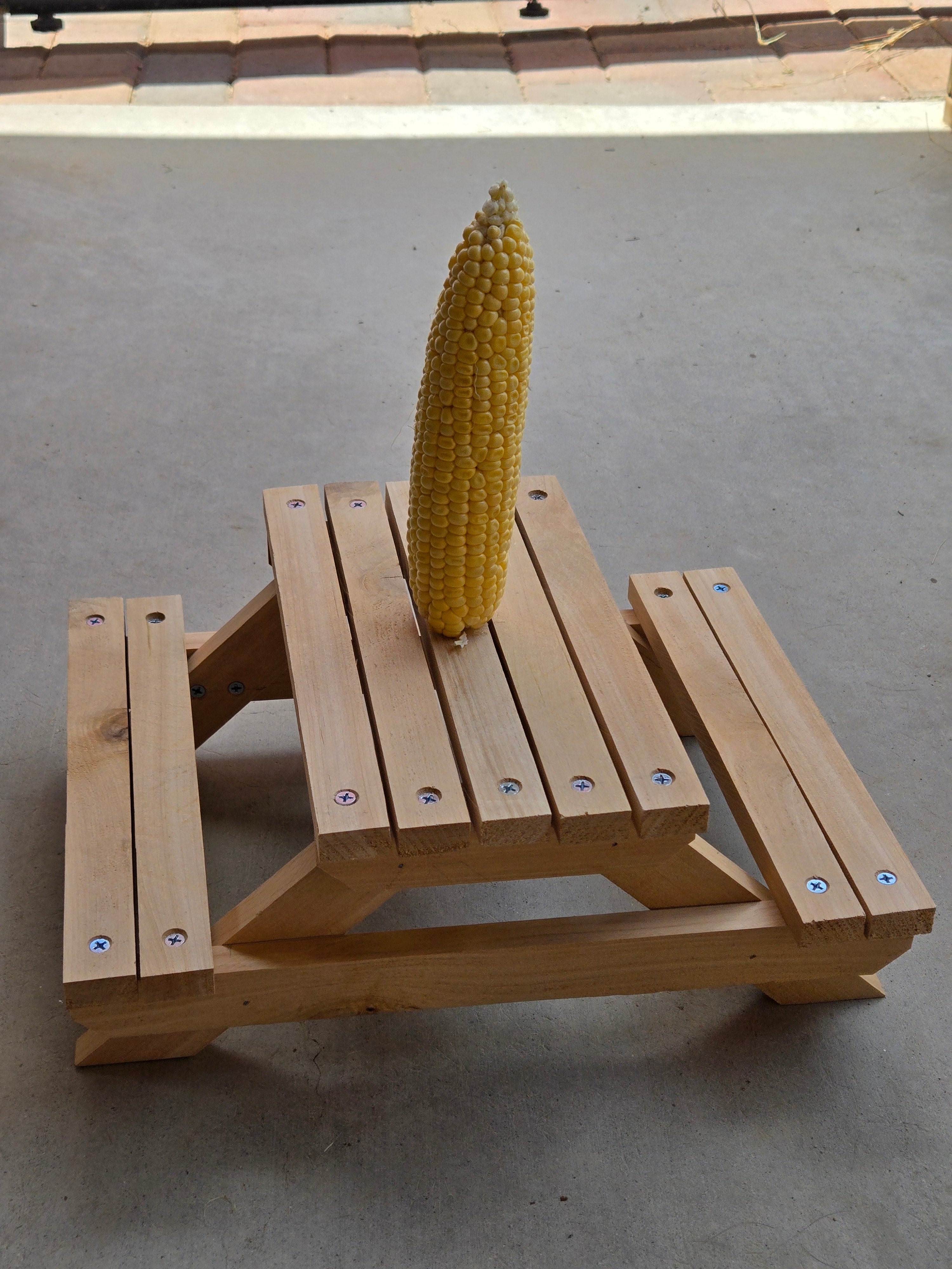Squirrel Picnic Table - Feeder for small yard animals